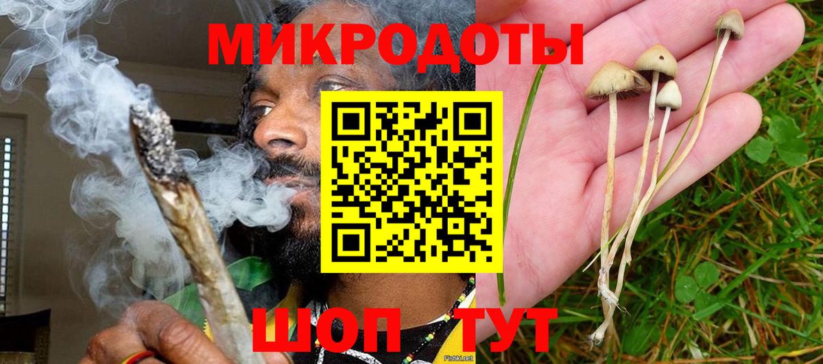 Псилоцибиновые грибы Magic Shrooms Горно-Алтайск