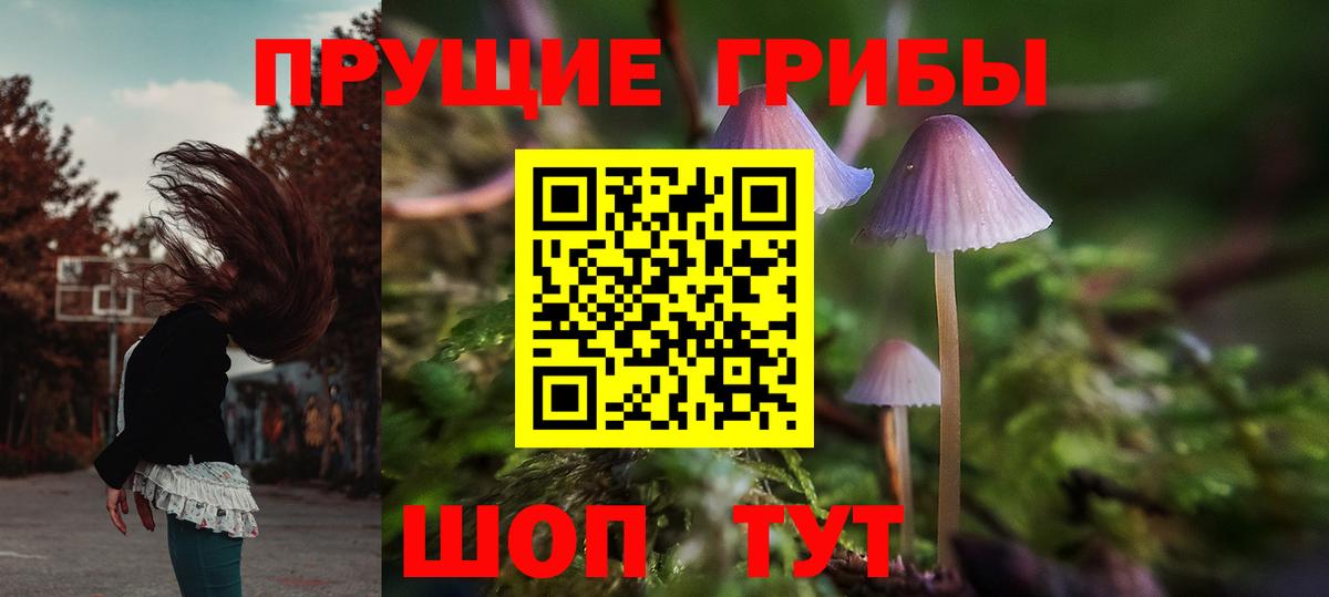 как найти закладки  Вход с VPN  Горно-Алтайск  Псилоцибиновые грибы Psilocybe 